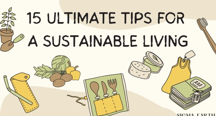 Ways to Save Money! in 2021 | Saving money, Environmentally friendly ...